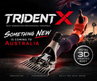 Trident X